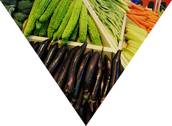 發(fā)展戰(zhàn)略