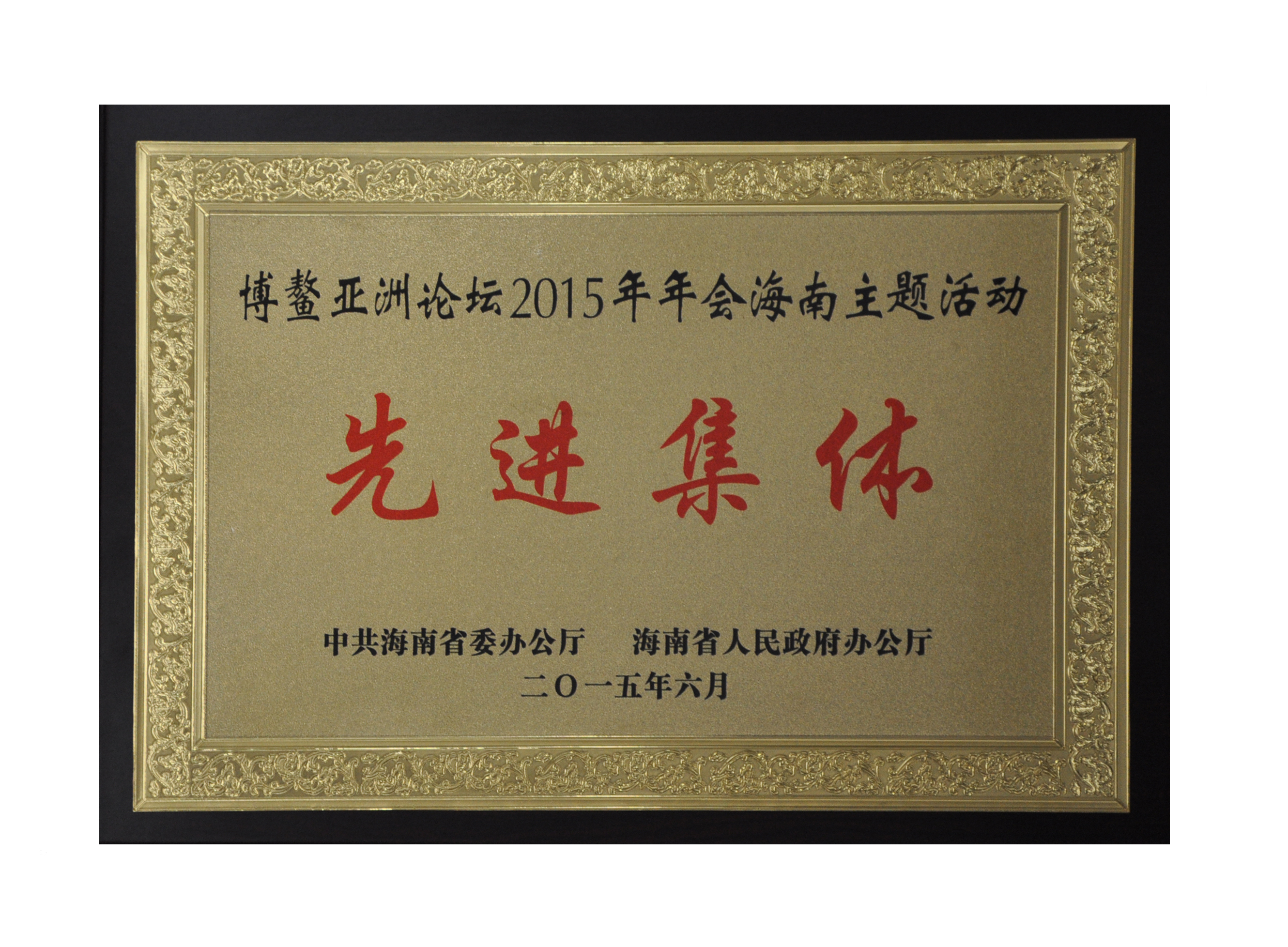 博鰲主題活動(dòng)先進(jìn)集體